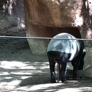 Meet your Posher, Annalise